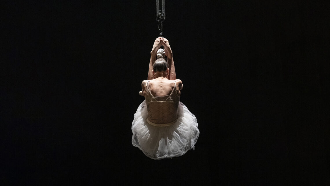 Coppelia 16 9